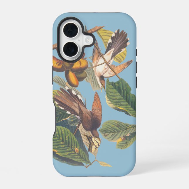 Coque iPhone 16 Coulicou à bec jaune d'Audubon (Verso)