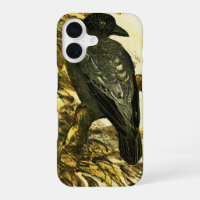 Crow vintage Perché sur une branche Theo van Hoyte