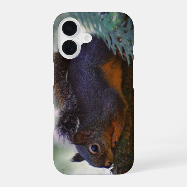 Coque iPhone 16 Cute Little Douglas Squirrel Photo Faune (Verso)