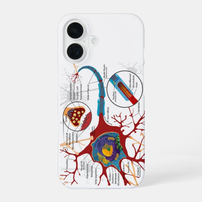 Coque iPhone 16 Diagramme Neurone Complet Cellule Nerf Système Ner (Verso)