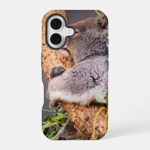 Coque iPhone 16 Douce petite koala