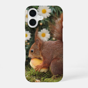 Coque iPhone 16 Écureuil roux et pâquerettes Photo mignonne