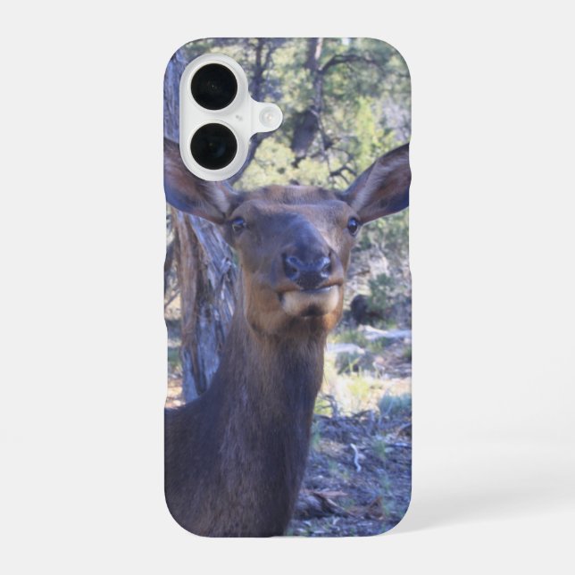 Coque iPhone 16 Élan (Verso)