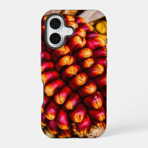 Coque iPhone 16 Épis de maïs