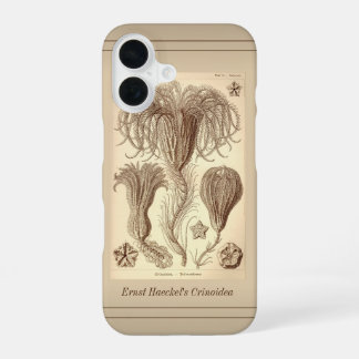 Coque iPhone 16 Ernst Haeckel Crinoids - Page complète