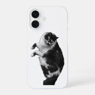 Coque iPhone 16 Étui de téléphone chat à moustaches renversées