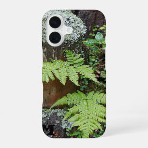 Coque iPhone 16 Étui de téléphone en vert forêt fougère