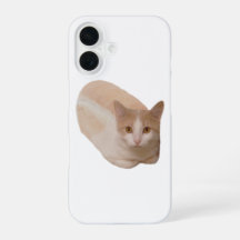 Étui de téléphone Funny Cat Loaf Meme Cat Bread