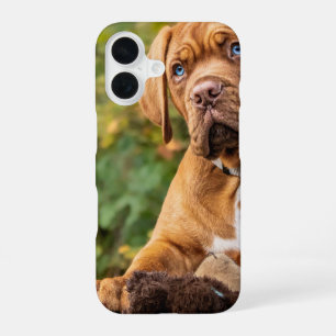 Coque iPhone 16 Étui de téléphone pour chien mignon