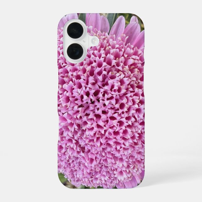 Coque iPhone 16 Étui iPhone 16 Aster Floral Rose (Verso)