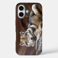 Étui pour iPhone 16 Apple Loup contemplatif