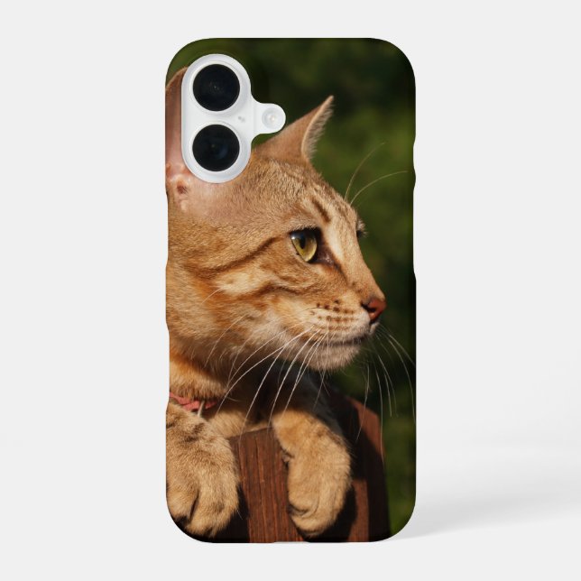 Coque iPhone 16 Étui pour iPhone Savannah Cat (Verso)