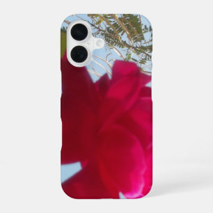 Coque iPhone 16 Fleur céleste Une rose rouge contre le ciel bleu