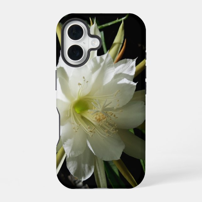 Coque iPhone 16 Fleur de cactus (Verso)