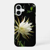 Fleur de cactus