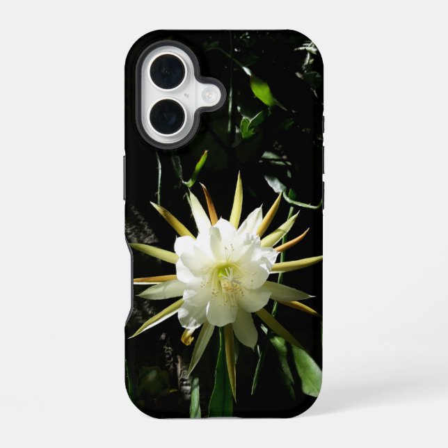 Coque iPhone 16 Fleur de cactus (Verso)