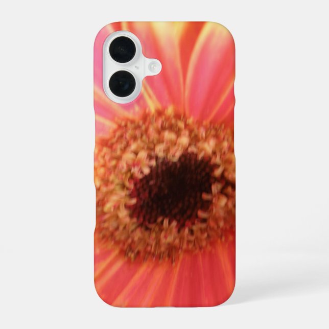 Coque iPhone 16 Fleur de Gerbera Daisy (Verso)