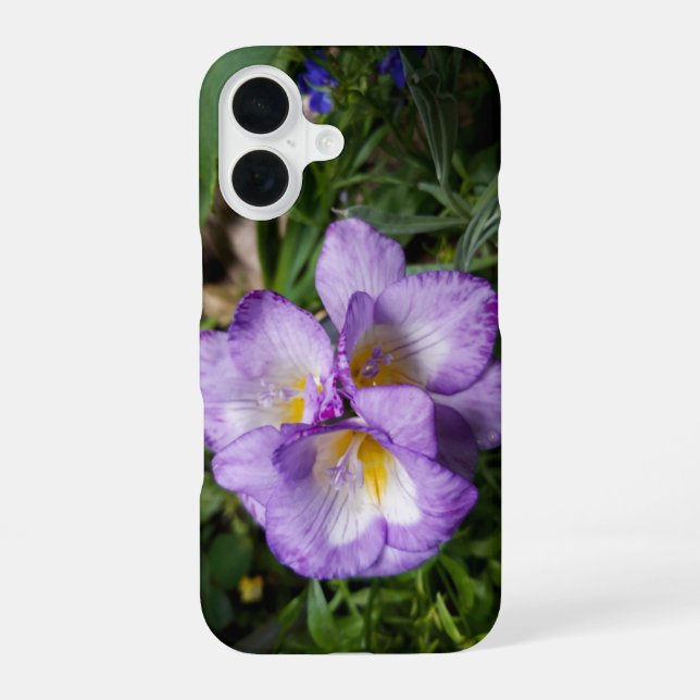 Coque iPhone 16 Fleurs de Freesia Violettes (Verso)