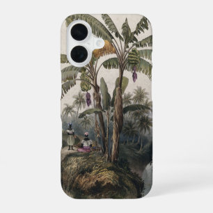 Coque iPhone 16 Forêt de bananiers tropicaux antiques Bota vinta