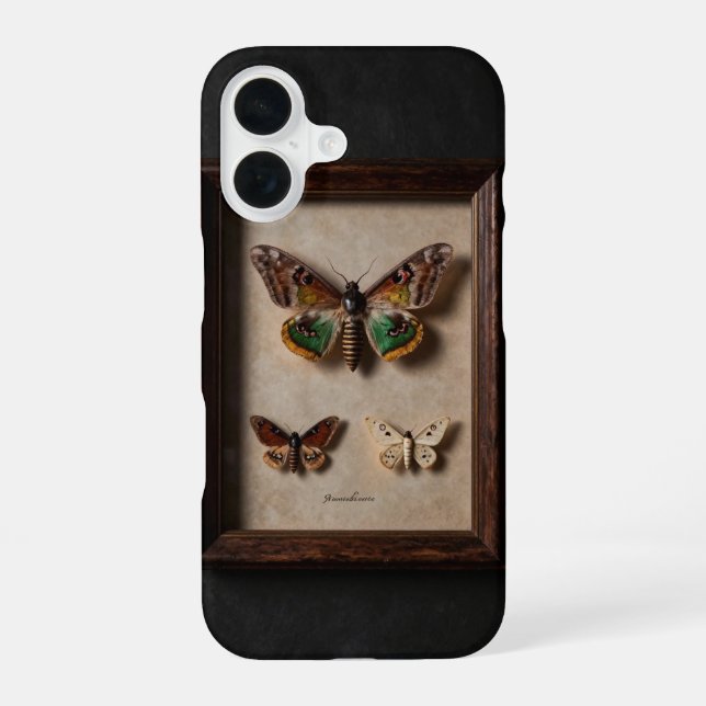 Coque iPhone 16 Framed Moth Specimen Dark Academia Case (Verso)