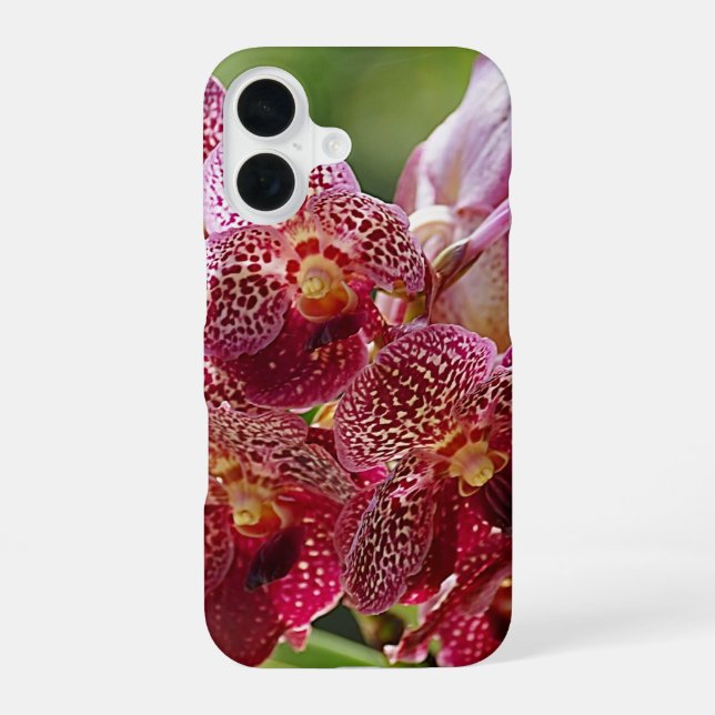 Coque iPhone 16 Grappe d'orchidées Vanda tropicales (Verso)