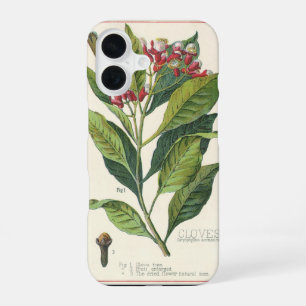 Coque iPhone 16 Herbes alimentaires vintages Épices, Cloches Plant