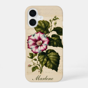 Coque iPhone 16 Illustration botanique de la gloire du matin
