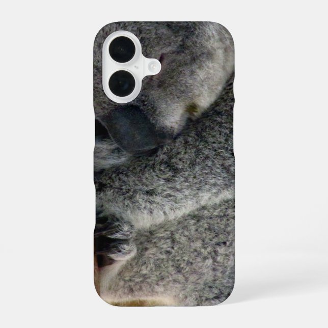 Coque iPhone 16 koala (Verso)
