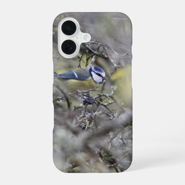 Coque iPhone 16 la mésange bleue (Verso)