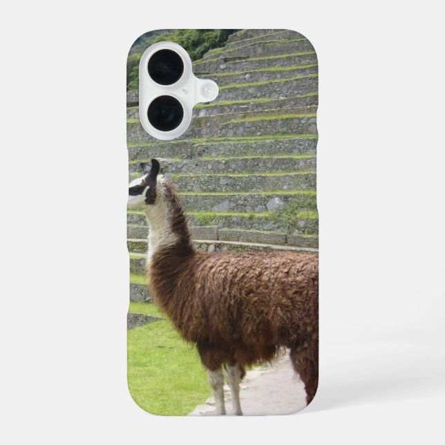 Coque iPhone 16 lama 3 (Verso)