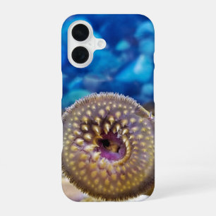 Coque iPhone 16 Lamproie marine