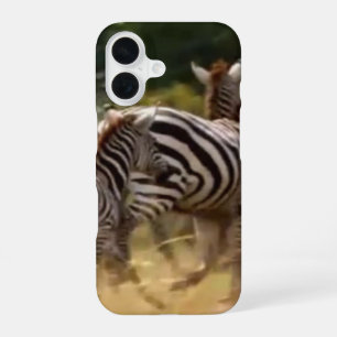 Coque iPhone 16 Les zèbres en mouvement : un voyage de mille miles