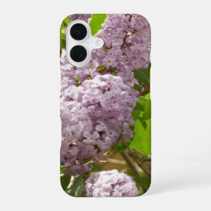 Coque iPhone 16 Lilas Belle Fleurs Violettes de Printemps