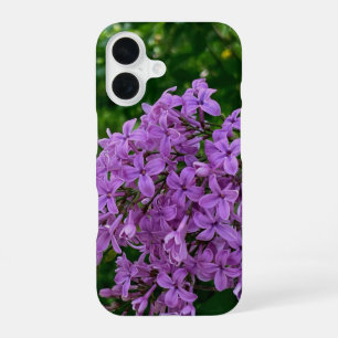 Coque iPhone 16 Lilas violet romantique élégant violet photo flora
