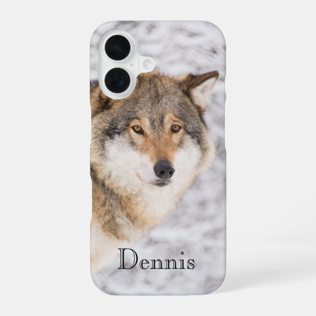 Coque iPhone 16 Loup forêt d'hiver (Verso)