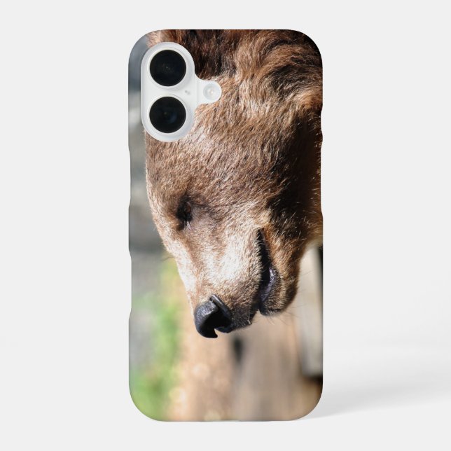 Coque iPhone 16 Maître Bruin... (Verso)