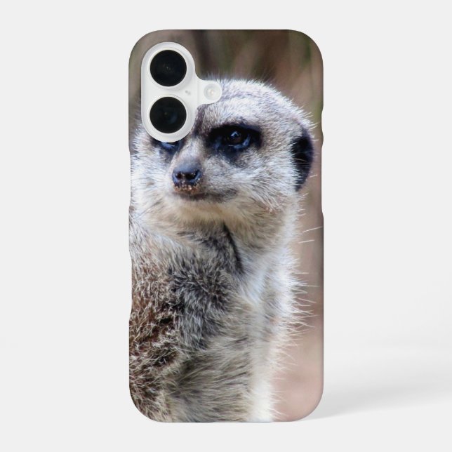 Coque iPhone 16 meerkat (Verso)