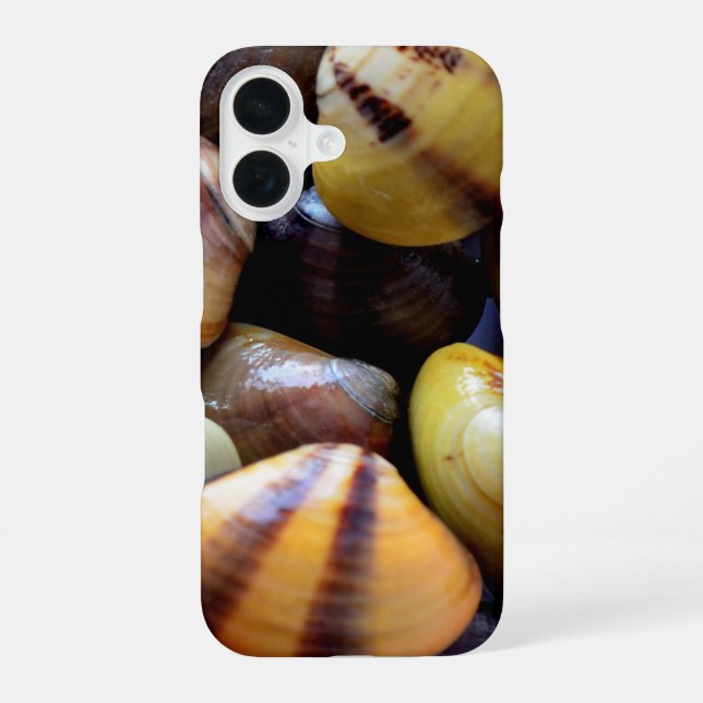 Coque iPhone 16 Minuscules Coques Colorées (Verso)