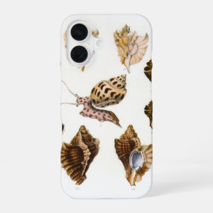 Coque iPhone 16 Mollusques et escargots, organismes marins vintage