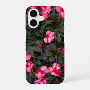 Coque iPhone 16 Motif de fleurs d'impatiens de Nouvelle-Guinée ros