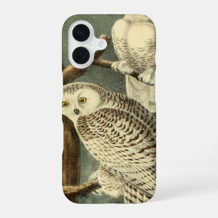 Coque iPhone 16 Œuvre d'art de chouette harfang Audubon
