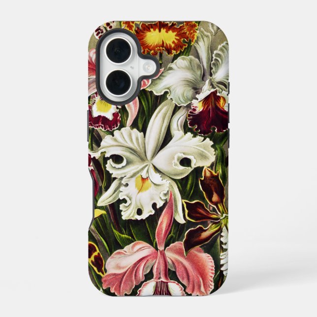 Coque iPhone 16 Orchidées, Orchideae Denusblumen Ernst Haeckel  (Verso)
