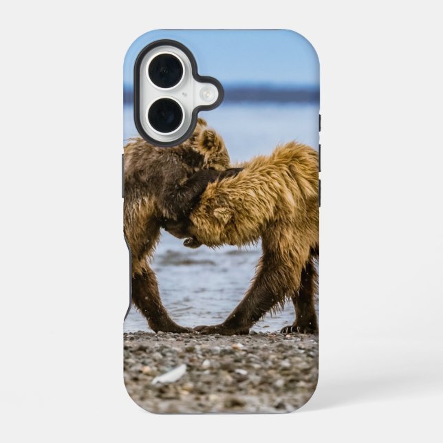 Coque iPhone 16 Ours bruns côtiers (Verso)