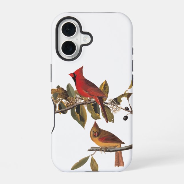 Coque iPhone 16 Paire cardinale Audubon en amandiers sauvages (Verso)
