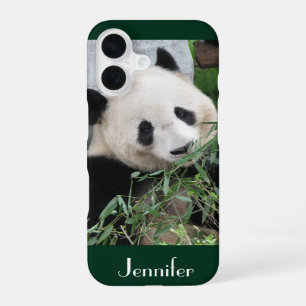 Coque iPhone 16 Panda Géant, Arrière - plan Vert foncé, Nom,