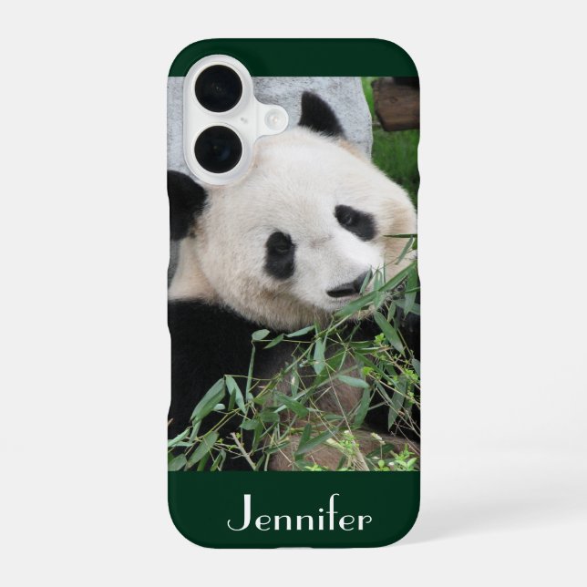 Coque iPhone 16 Panda Géant, Arrière - plan Vert foncé, Nom, (Verso)