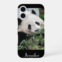 Panda Géant chinois mignon Trim noir, Nom personna