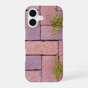 Coque iPhone 16 Pavés et mauvaises herbes dans le passage photogra