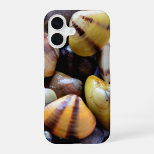Coque iPhone 16 Petits Coquillages Colorés