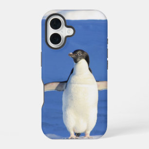 Coque iPhone 16 Photo d'ailes de manchot déployées
